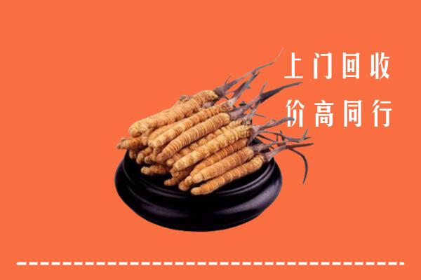 高价求购：老河口市回收散虫草