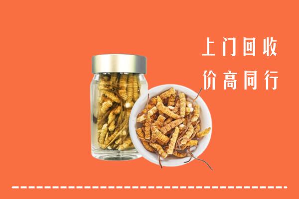 老河口市回收冬虫夏草