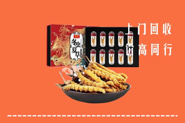 老河口市回收虫草